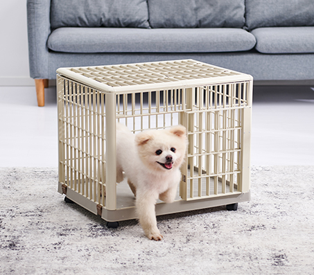 custom dog kennels